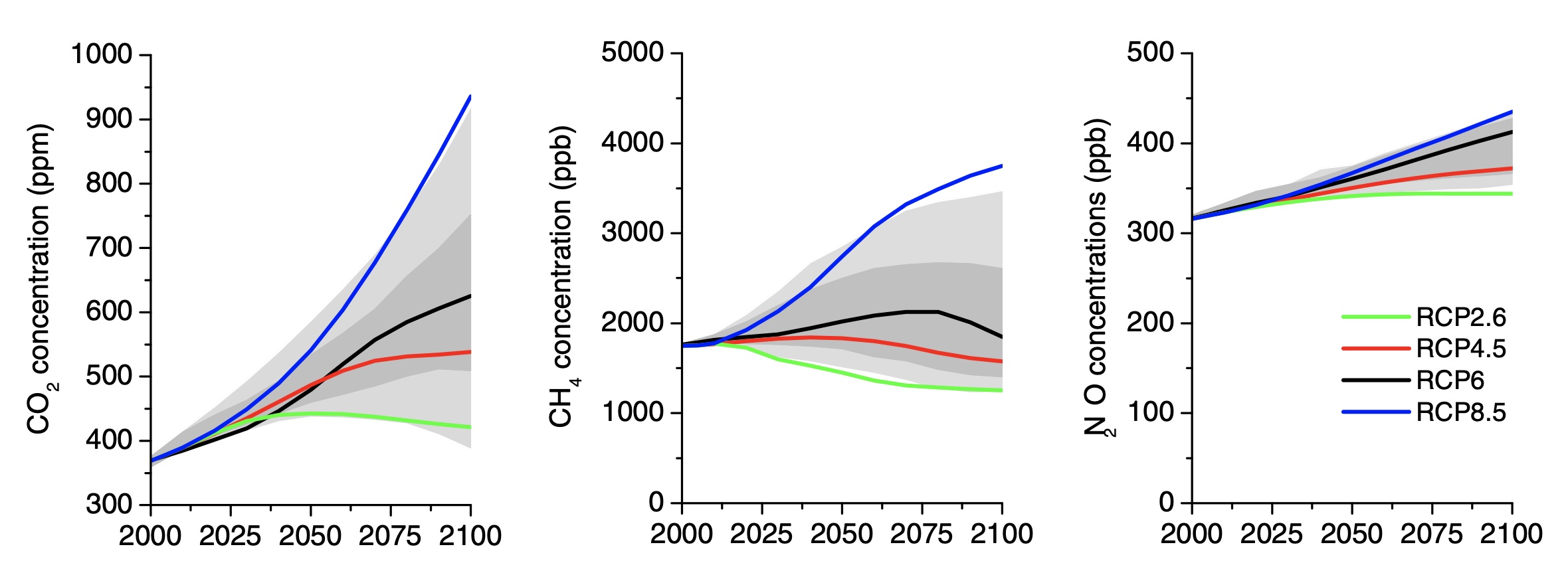 The development of greenhouse gas concentrations during the 21st century as a function of the corresponding scenario. We focus here on RCP4.5 and RCP8.5. Source: [@van_Vuuren_2011]