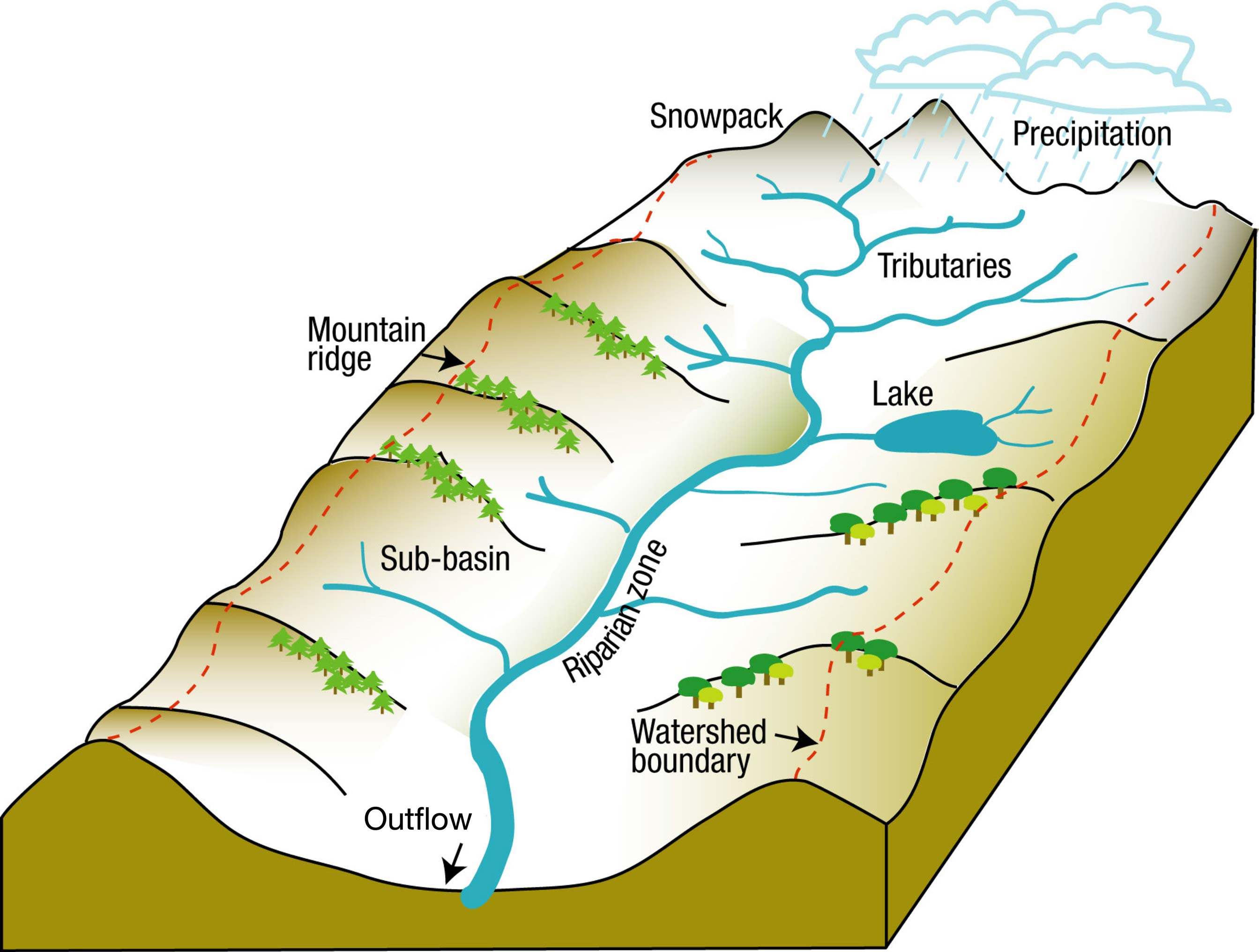Conceptualized river basin. The red dashed line along the mountain ridges indicate the watershed boundary.